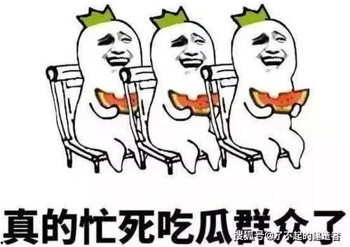 娱乐吃瓜酱低智商,揭秘低智商背后的娱乐真相