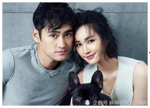 娱乐吃瓜明星小分队